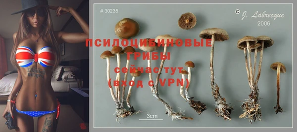 прущие грибы Балабаново
