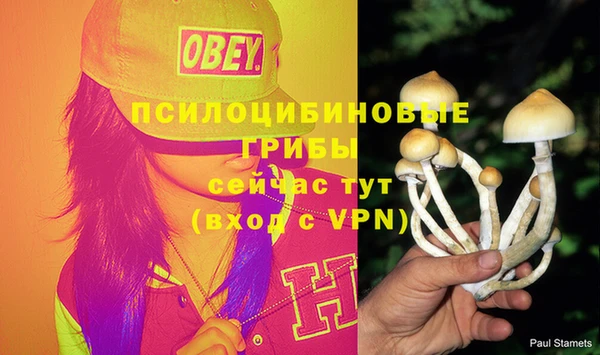 винт Белокуриха