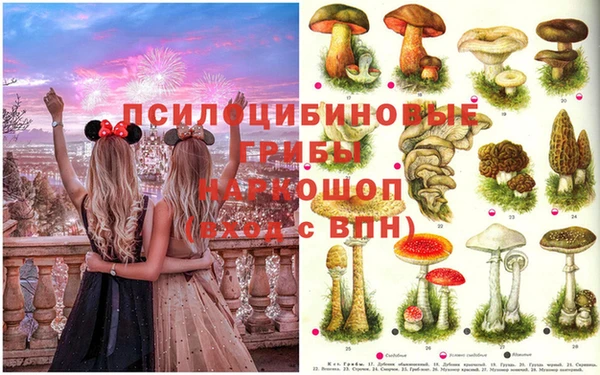 прущие грибы Балабаново
