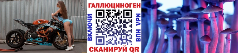 Галлюциногенные грибы Psilocybe Мосальск