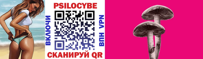 где найти   Мосальск  Псилоцибиновые грибы прущие грибы 